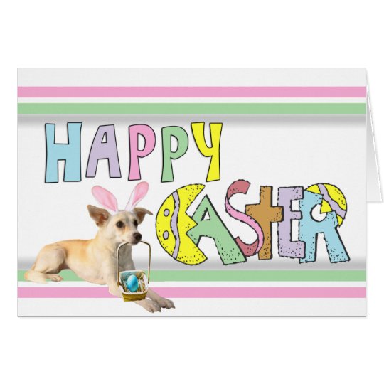Easter Chihuahua Card
