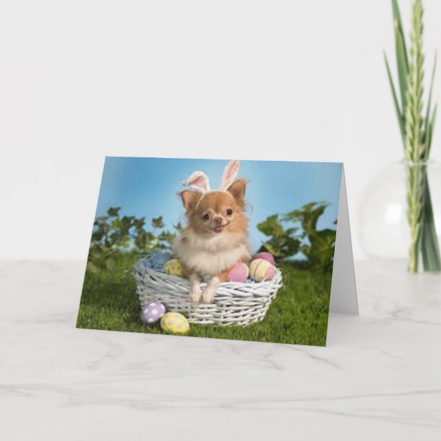 Easter Chihuahua Holiday Card (Front)