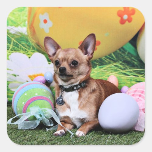 Easter _ Chihuahua _ Rambo Square Sticker