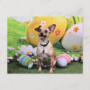 Easter - Chipin Rockwell - Chihuahua Rambo Holiday Postcard