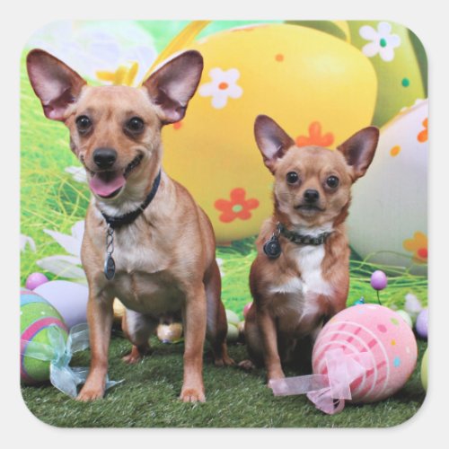 Easter _ Chipin Rockwell _ Chihuahua Rambo _ Mahne Square Sticker