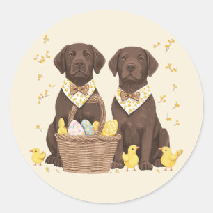 Easter Chocolate Labrador Retriever Dogs Classic Round Sticker