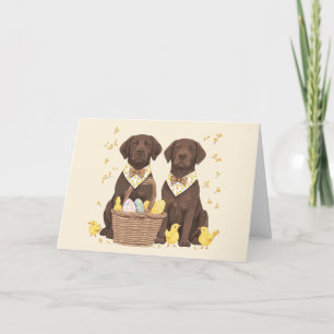 Easter Chocolate Labrador Retriever Dogs Holiday Card