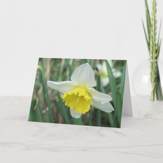 Easter Daffodil Holiday Card (Front)