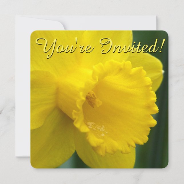 Easter Daffodil Invitations Easter Cards Customize (Front)