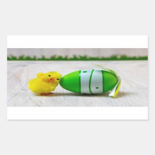Easter Decoration - Easter egg and chick Rectangular Sticker