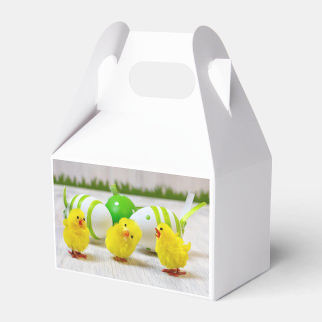 Easter Decoration - Easter egg and chicks Favor Boxes (Back Side)