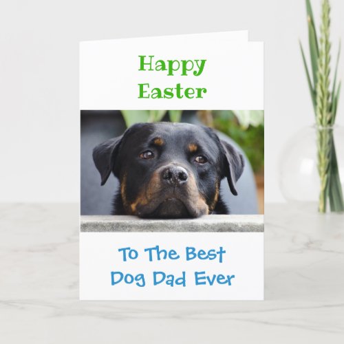 Easter Dog Dad Worlds Best Ever Pet Photo Holiday Card