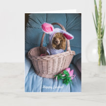 Easter Dog in a Basket