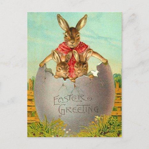 Easter Egg and Bunny Postcard