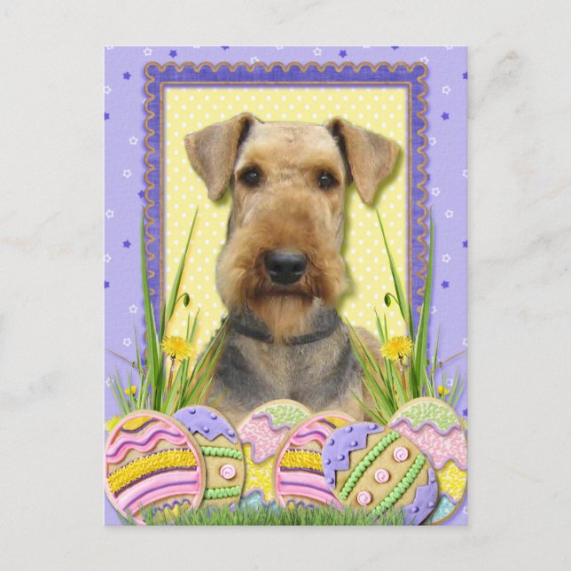 Easter Egg Cookies - Airedale Holiday Postcard (Front)