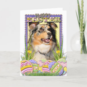 Easter Egg Cookies - Australian Shepherd Holiday Card