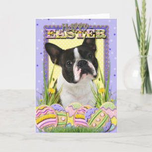 Easter Egg Cookies — Boston Terrier Holiday Card