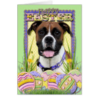 Easter Egg Cookies - Boxer Card