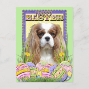 Easter Egg Cookies — Cavalier — Blenheim Holiday Postcard