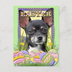 Easter Egg Cookies - Chihuahua Holiday Postcard