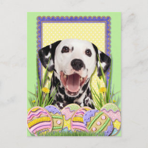 Easter Egg Cookies - Dalmatian Holiday Postcard