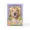 Easter Egg Cookies - Golden Retriever - Corona