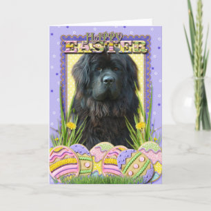 Easter Egg Cookies — Newfoundland Holiday Card