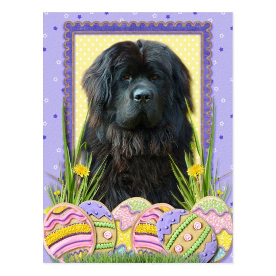 Easter Egg Cookies - Newfoundland Postcard