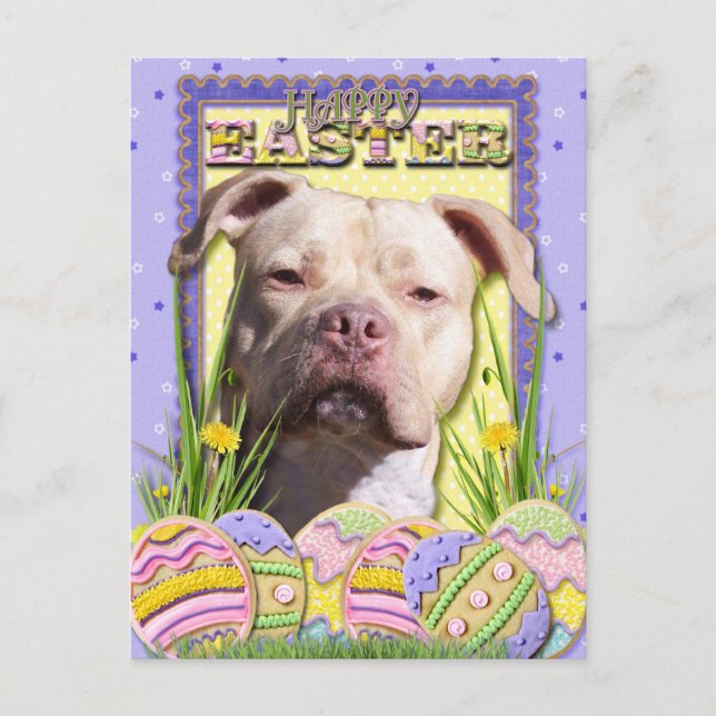Easter Egg Cookies - Pitbull - JerseyGirl Holiday Postcard (Front)