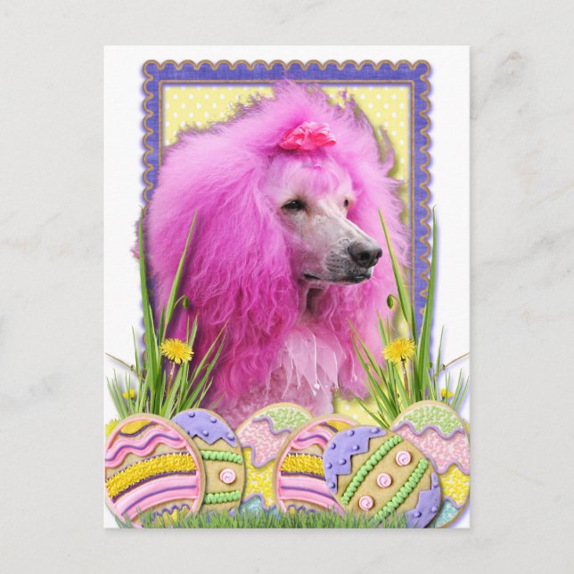 Easter Egg Cookies - Poodle - Pink Holiday Postcard (Front)