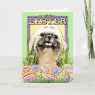 Easter Egg Cookies — Shih Tzu — Opal Holiday Card