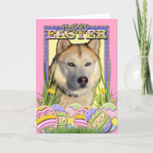 Easter Egg Cookies - Siberian Husky Copper Holiday Card