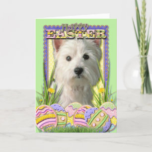 Easter Egg Cookies — West Highland Terrier Holiday Card