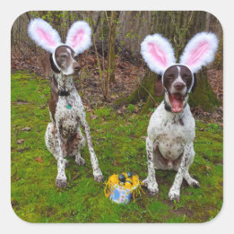 Easter Egg Hunt and Party Dogs Round Stickers