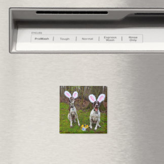 Easter Egg Hunt and Party Dogs Square Magnet