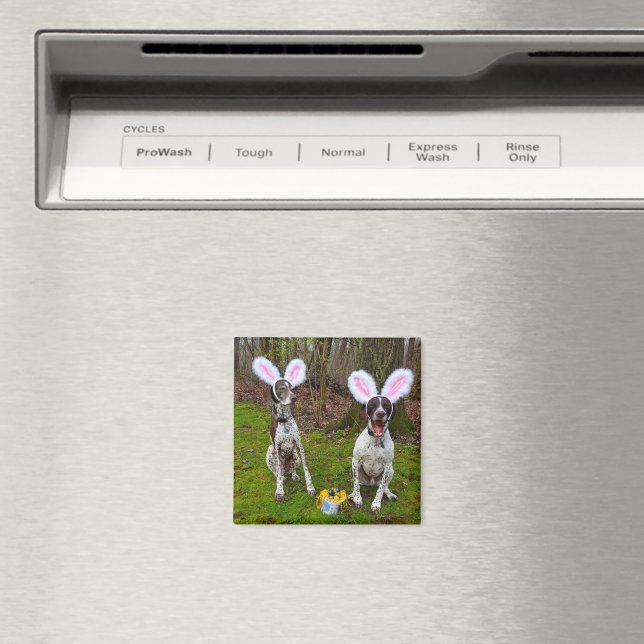 Easter Egg Hunt and Party Dogs Square Magnet (In Situ (Dishwasher))
