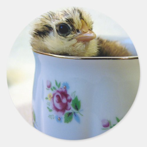 Easter Egger Chick in Cup Classic Round Sticker