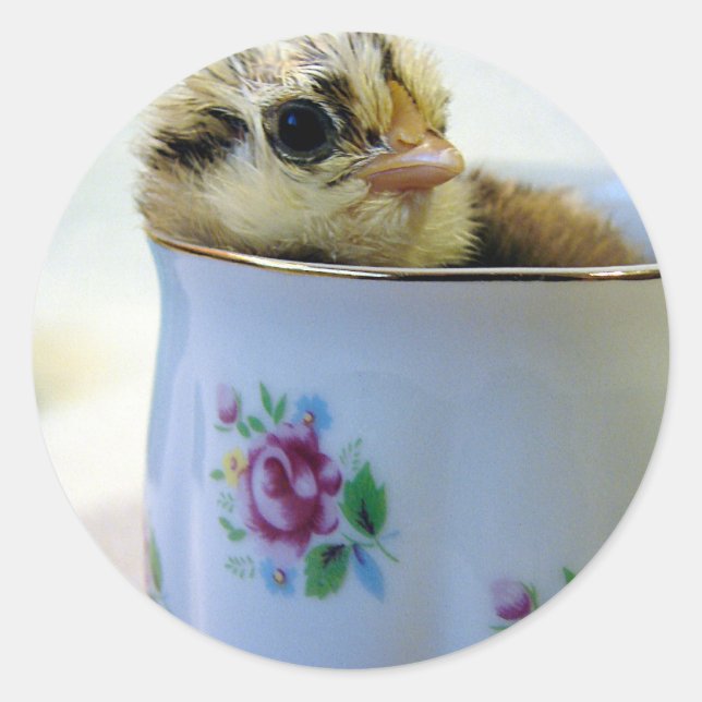 Easter Egger Chick in Cup Classic Round Sticker (Front)