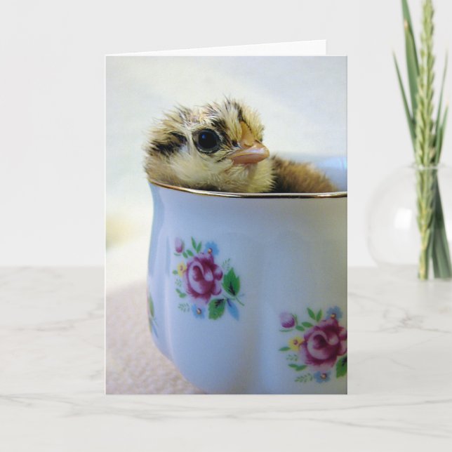 Easter Egger Chick in Cup Holiday Card (Front)