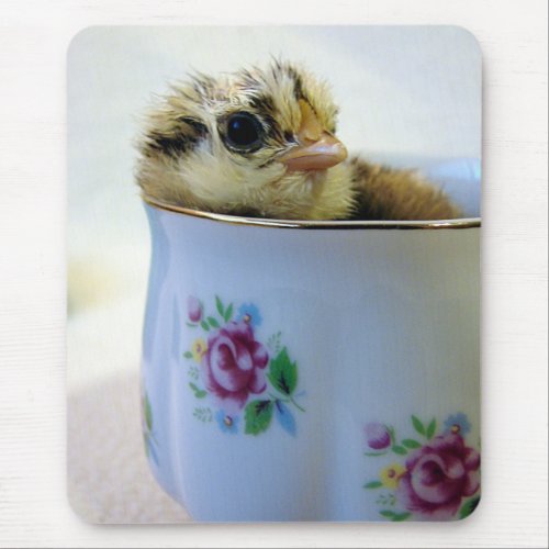 Easter Egger Chick in Cup Mouse Pad