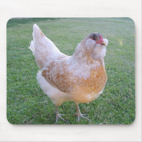 Easter Egger Chicken Mousepad