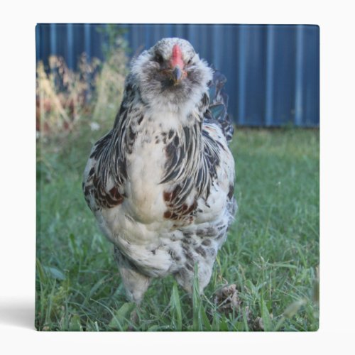 Easter Egger Rooster Binder