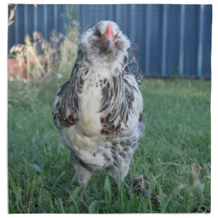 Easter Egger Rooster Cloth Napkin