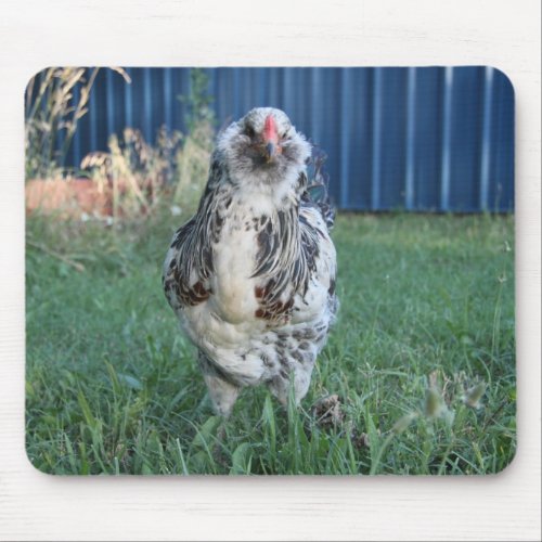 Easter Egger Rooster Mouse Pad
