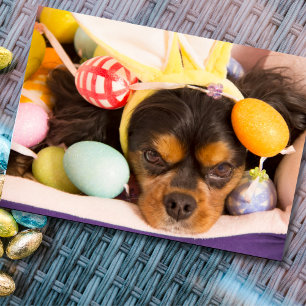 Easter Eggs Cavalier King Charles Spaniel Card