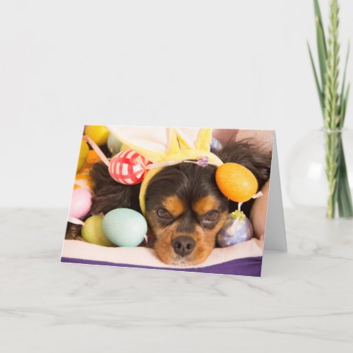 Easter Eggs Cavalier King Charles Spaniel Card