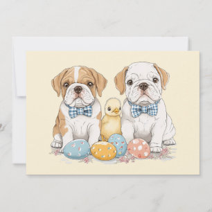 Easter English Bulldogs Holiday Card