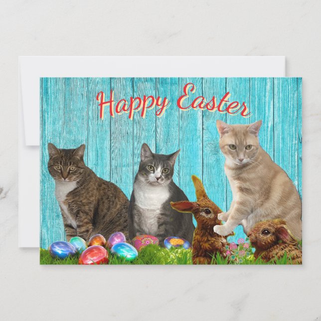 Easter Flat Card - Cats and Bunnies (Front)