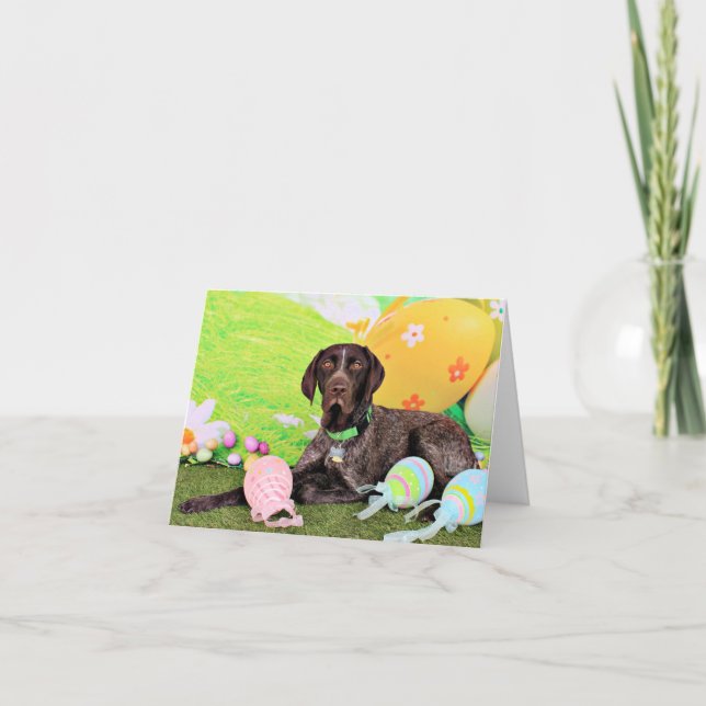 Easter - German Shorthair Pointer - Kaiser Holiday Card (Front)
