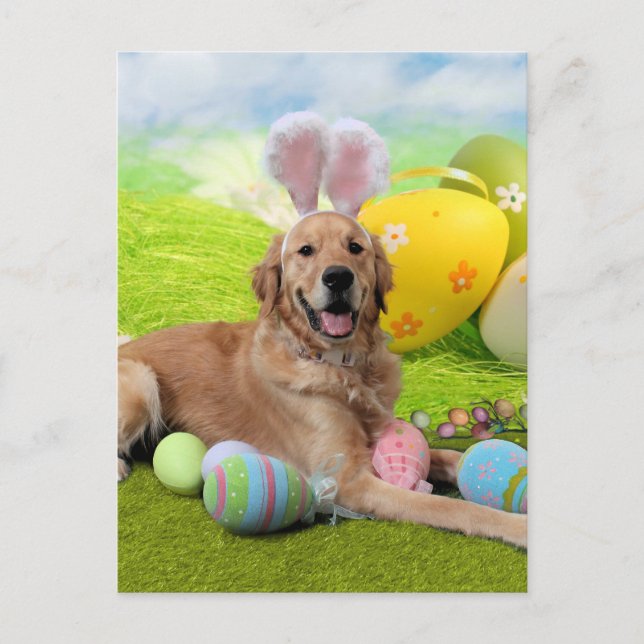 Easter - Golden Retriever - Frank Holiday Postcard (Front)