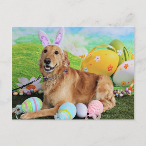 Easter _ Golden Retriever _ Molly Holiday Postcard