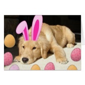 Easter Golden Retriever Puppy (Front Horizontal)