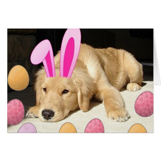 Easter Golden Retriever Puppy (Front Horizontal)