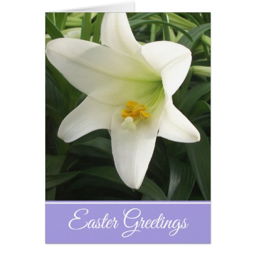 Easter Greeting Card Easter Lily